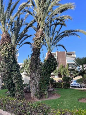 Appartement De Haut Standing En Residence Agadir Dış mekan fotoğraf